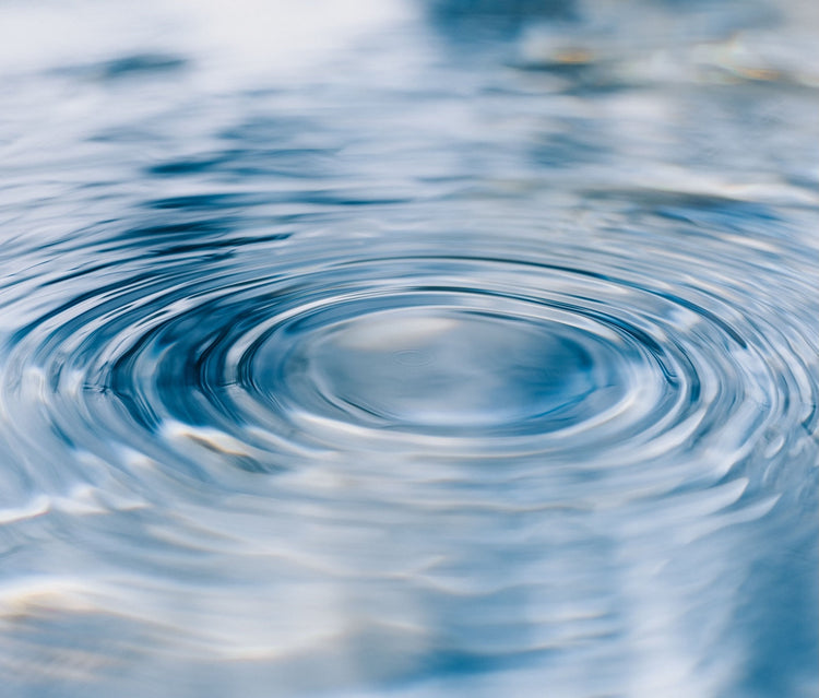 Fasteners for High-Purity Water Systems: Choosing Suitable Polymers